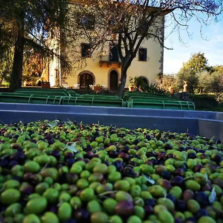 San Processo * Castel del Piano (Tuscany)