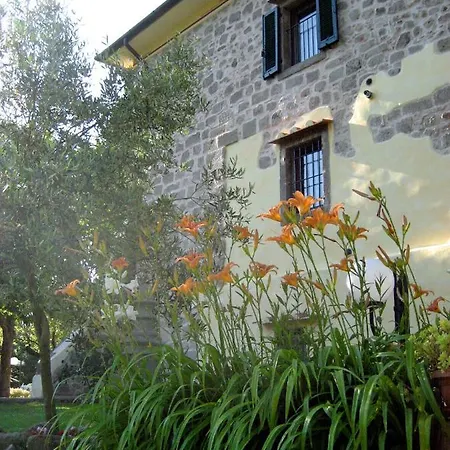 San Processo Фермерский дом