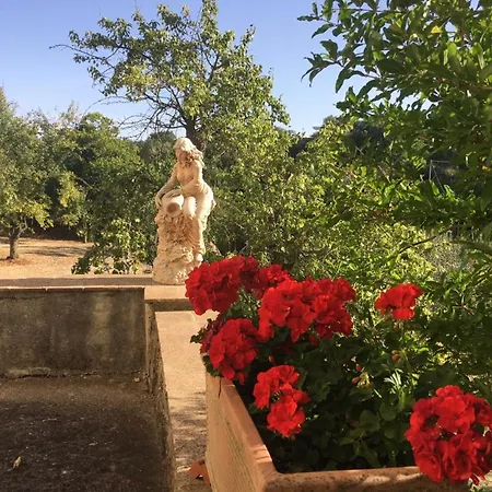 Фермерский дом San Processo *