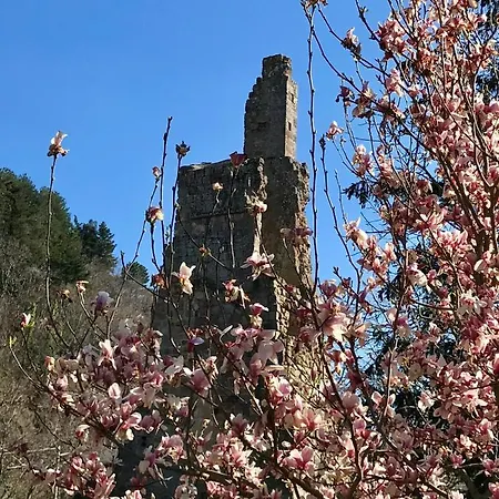 San Processo