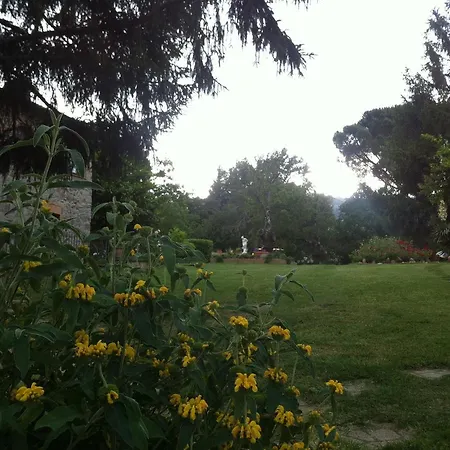 San Processo Farm stay Castel del Piano (Tuscany)