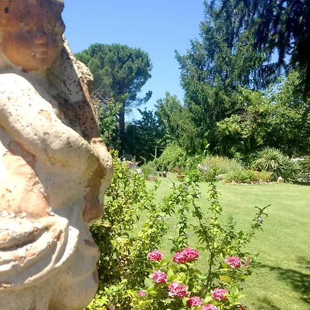 San Processo Castel del Piano (Tuscany)