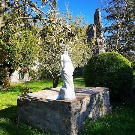 San Processo