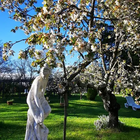 San Processo Кастель-дель-Пьяно