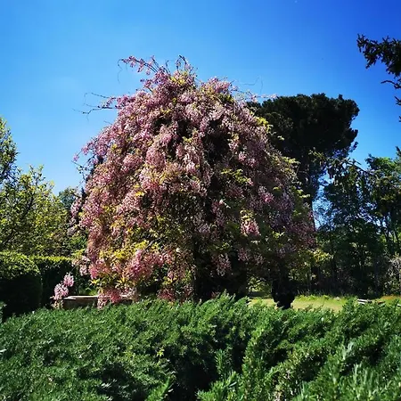 San Processo Farm stay *